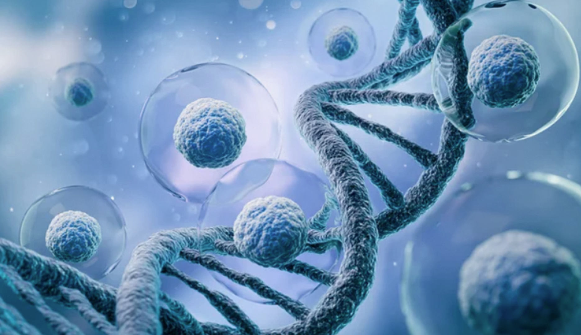 Exosomas: la biología que regenera desde dentro”